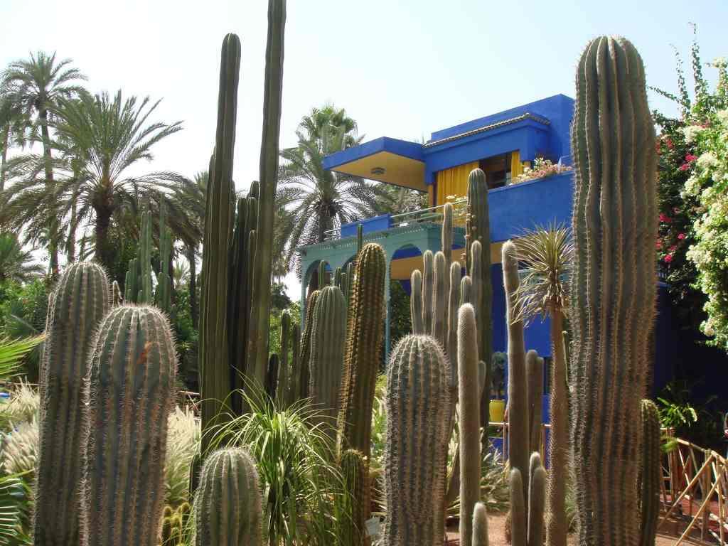 Appart Avec Vue Jardin/Majorelle Marakéš Exteriér fotografie