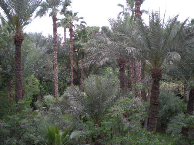 Appart Avec Vue Jardin/Majorelle Marakéš Exteriér fotografie