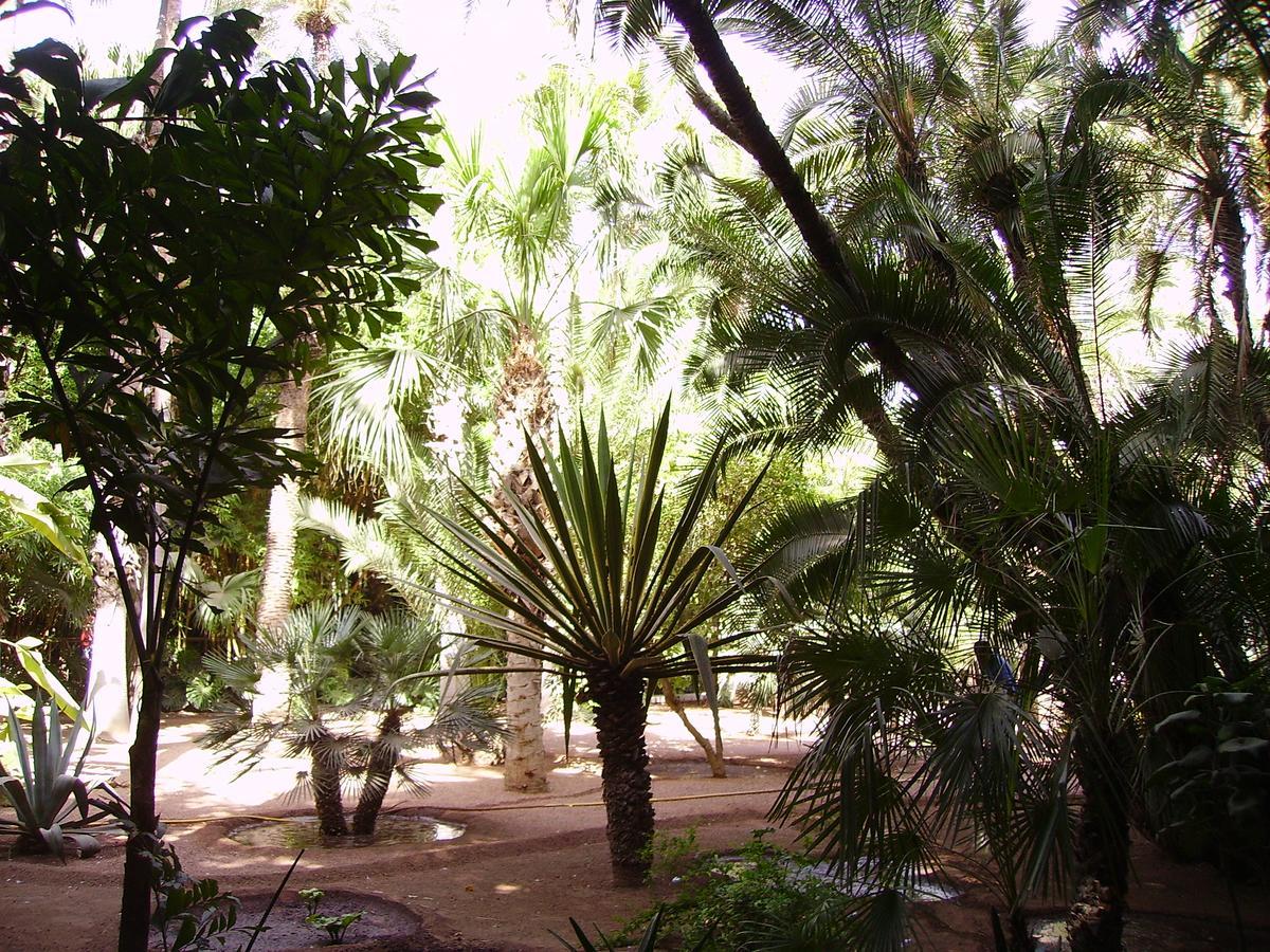 Appart Avec Vue Jardin/Majorelle Marakéš Exteriér fotografie